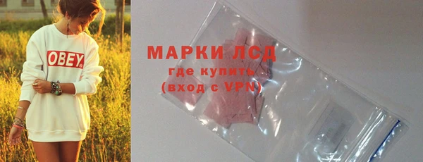 прущие грибы Абаза