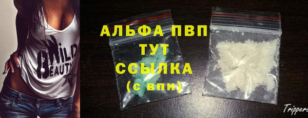 прущие грибы Абаза