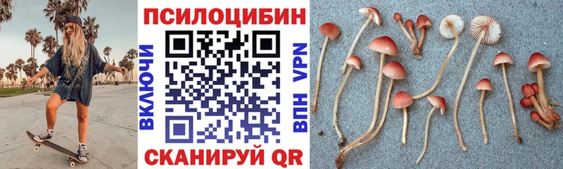 Галлюциногенные грибы MAGIC MUSHROOMS  Абинск 