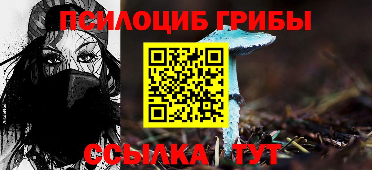 Галлюциногенные грибы Cubensis Абинск