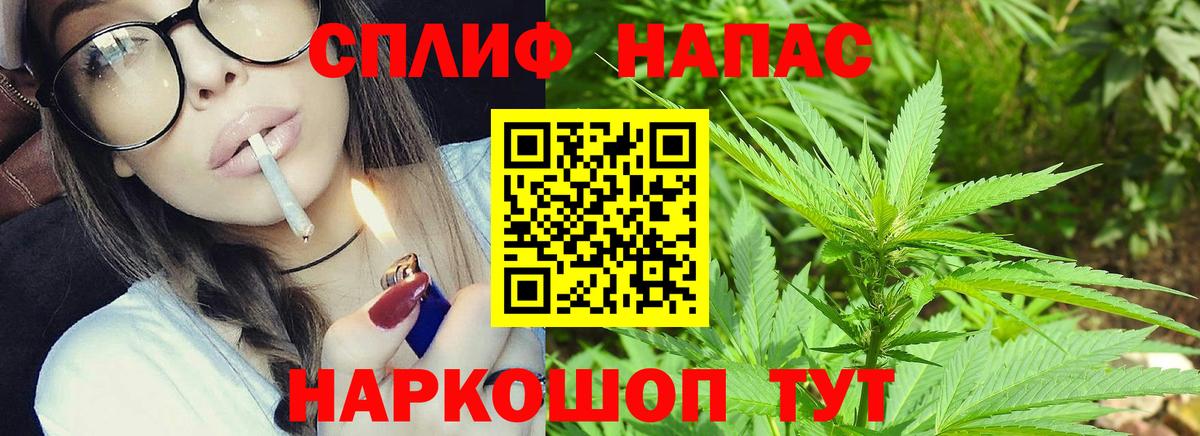 Каннабис план Абинск